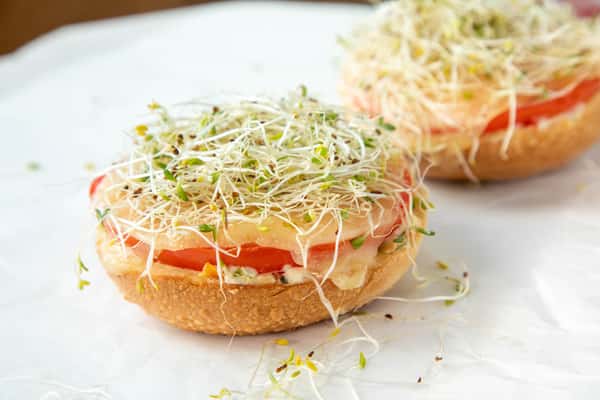The Healthy Bite
