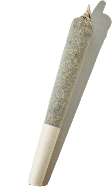 Marijuana Joint