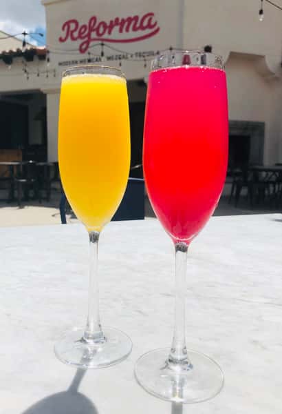 Mimosa