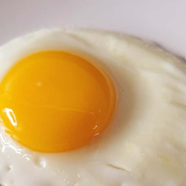 One Egg