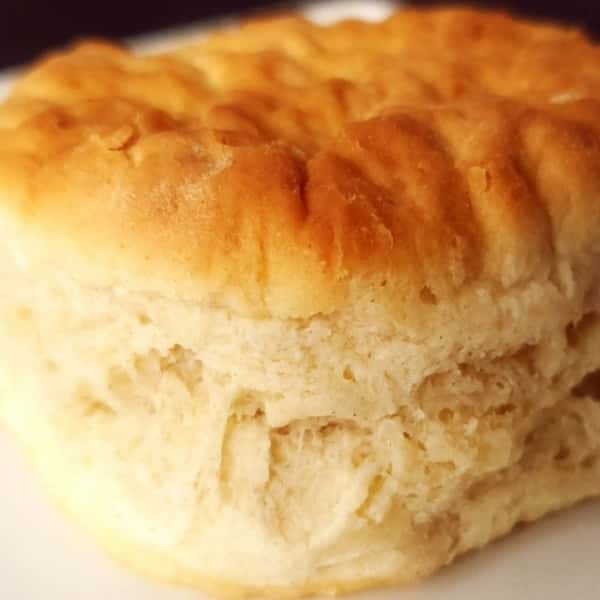 Biscuit