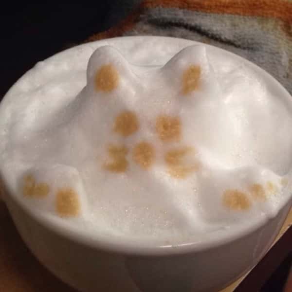 Cappuccino
