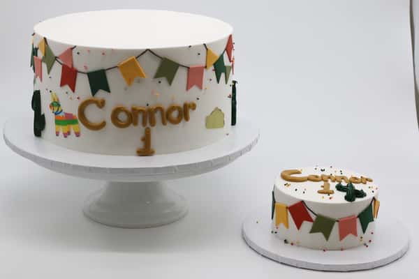 Custom Cake + Smash Cake