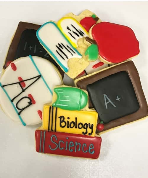 Back to school assortment