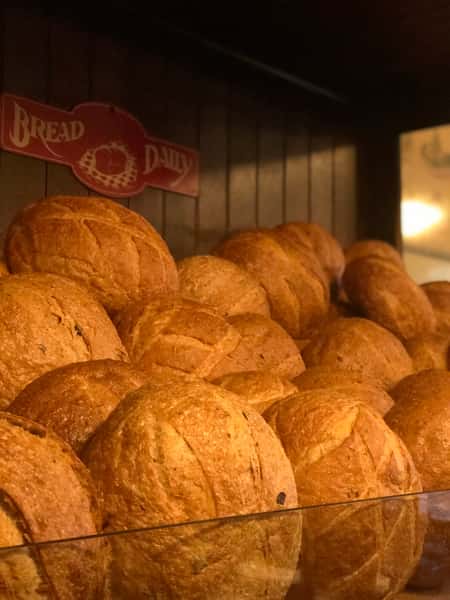 Sour Dough