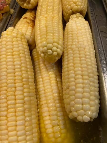 Fresh White Corn on the Cobb