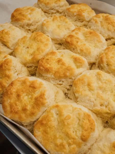 Made from Scratch Biscuits