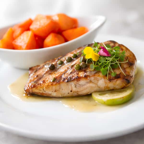 Salmon