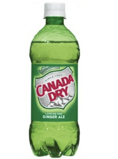 Ginger ale 20 Oz TO GO