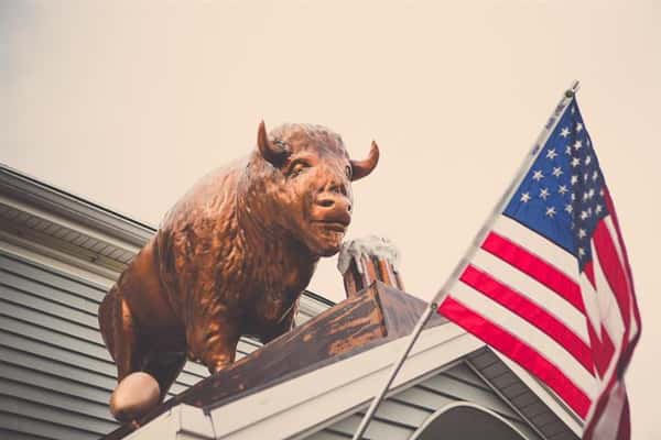 Close up shot of the bull on top of the building drinking a beer and the American Flag