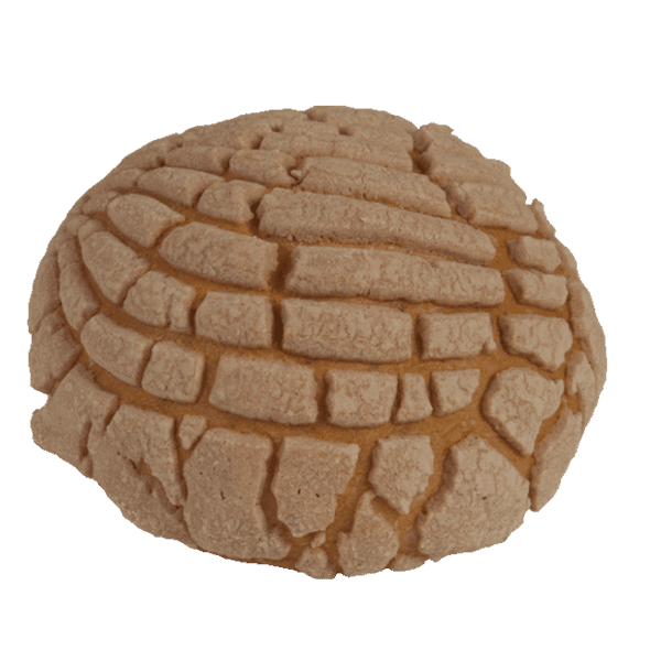 Chocolate Concha