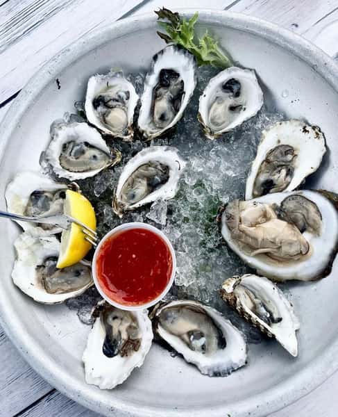 Local Oysters