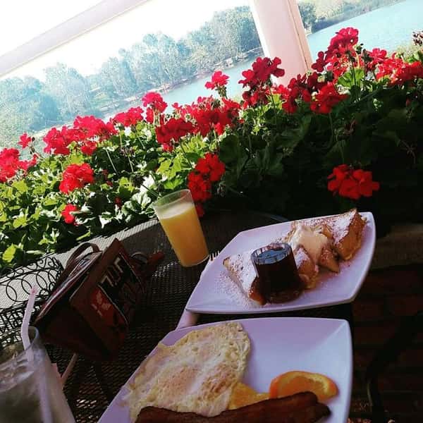 The View