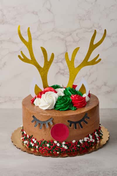 Reindeer Cake