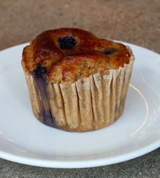 Blueberry Protein Muffin
