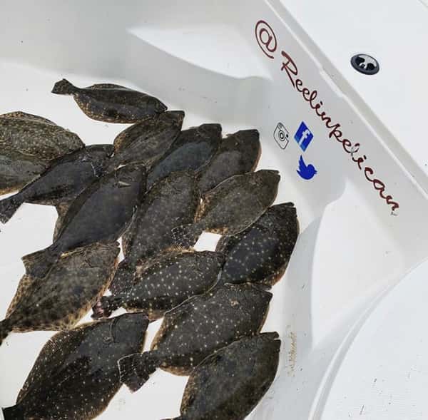 fresh catch