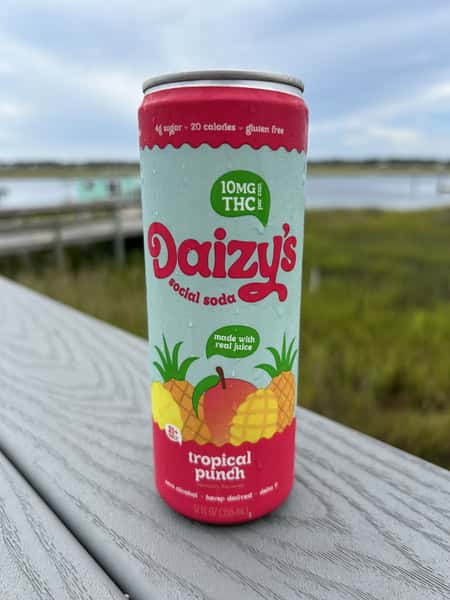 Daizy's Social Seltzer