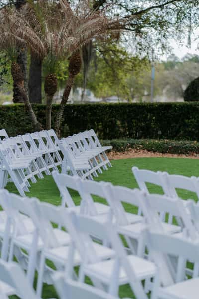 Wedding Chairs