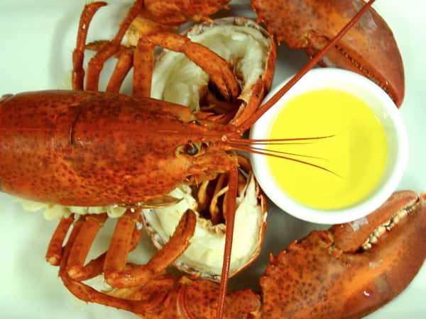 lobster