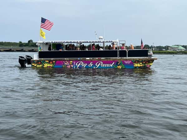 Cat boat in the water