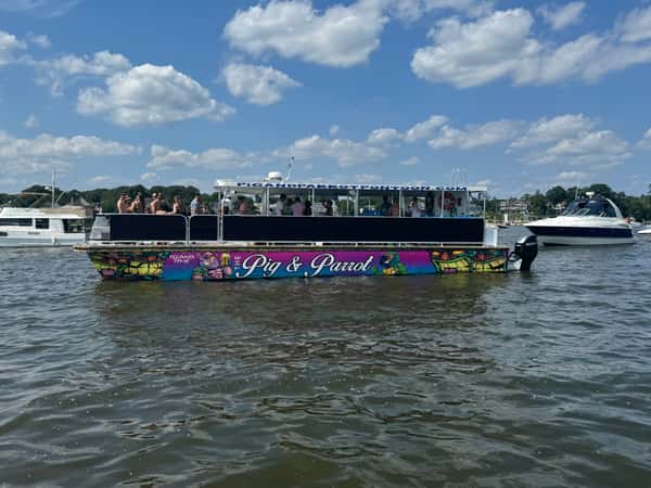 guests on cat in water