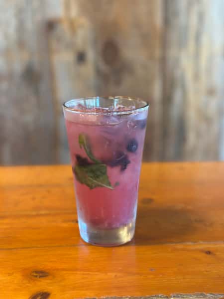 Blueberry Hydrator