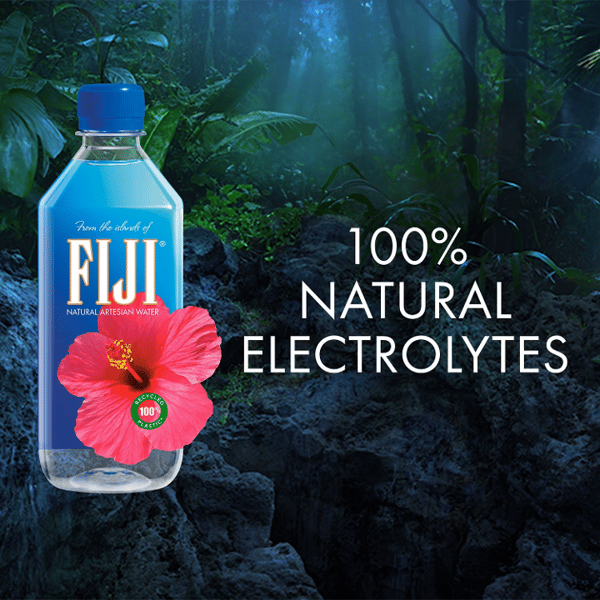 FIJI Natural Artesian Water (500 mL)