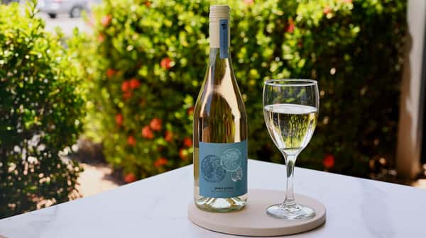 Pinot Grigio- Terredirai Della Venezie, Italy