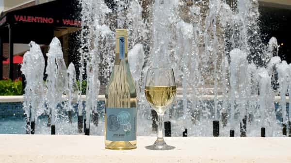 Pinot Grigio- Terredirai Della Venezie, Italy