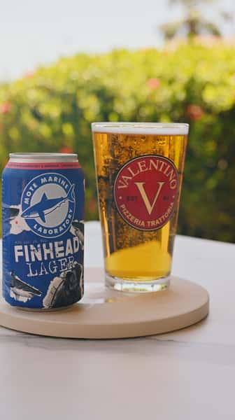 Big Top " Finhead Lager"- Local