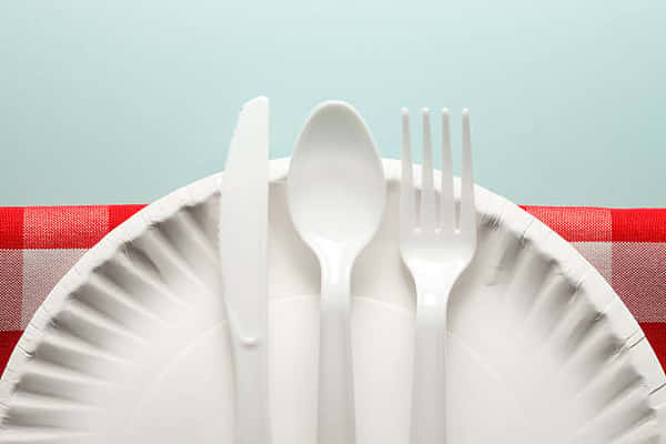 ADD DISPOSABLE SERVICEWARE (UTENSILS, PLATES, NAPKINS)