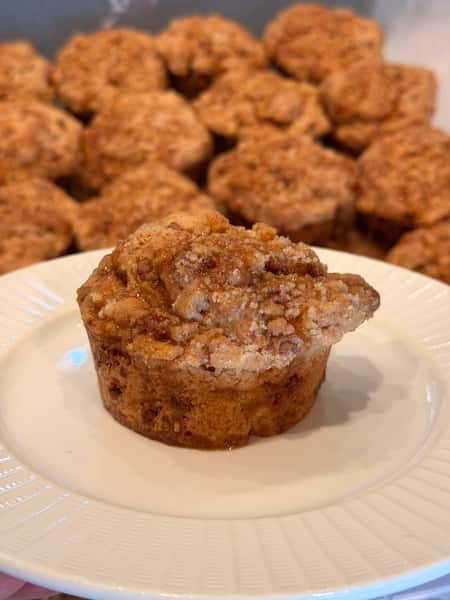 APPLE CINNAMON CUPCAKE (GLUTEN FREE)
