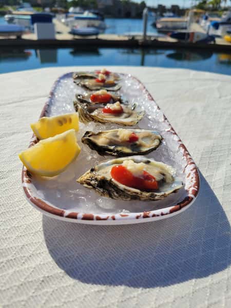 House Oysters (6)