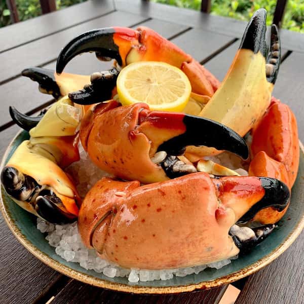 Large Stone Crab Dinner