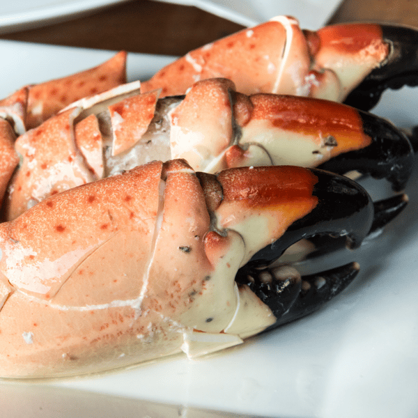 Colossal Stone Crab Dinner