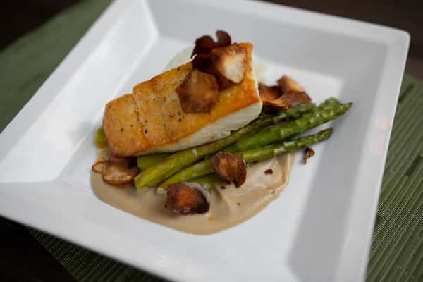Halibut