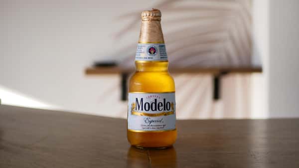 Modelo Bottle