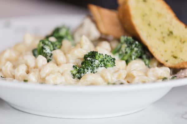 CHICKEN ALFREDO