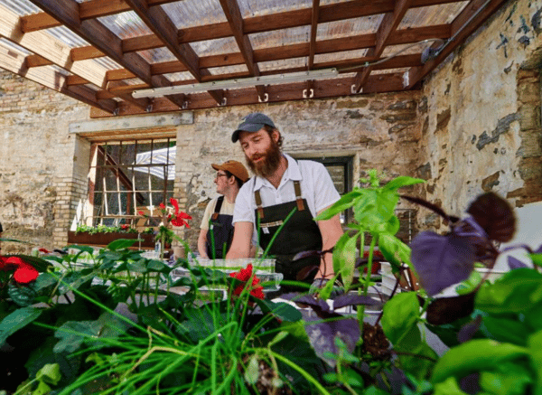 man working with plants
