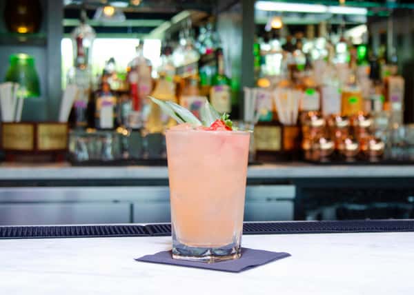Southern Paradise Paloma 