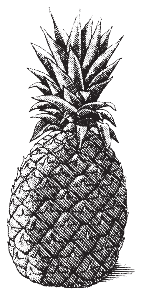 pineapple