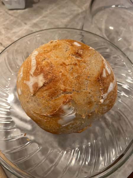 Sourdough Loaf