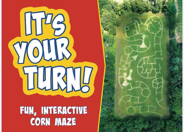 2021 Maze