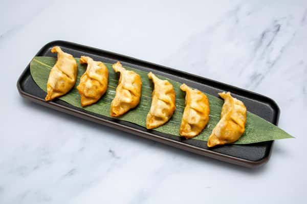 Vegetable Gyoza (4)