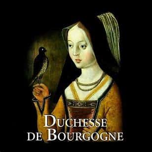 16oz DFT Duchesse De Bourgogne IPA