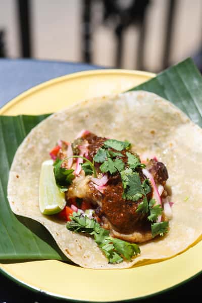 Thai Pork Leg Taco