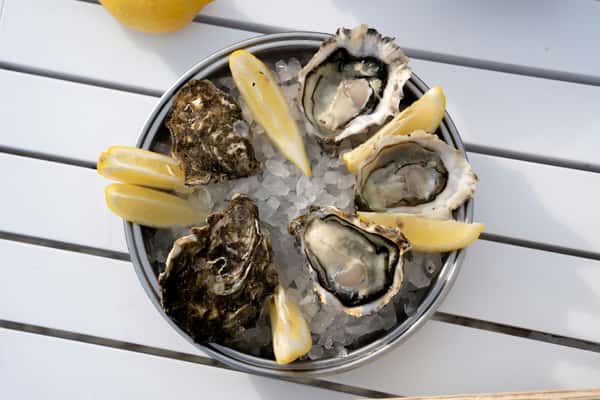 oysters