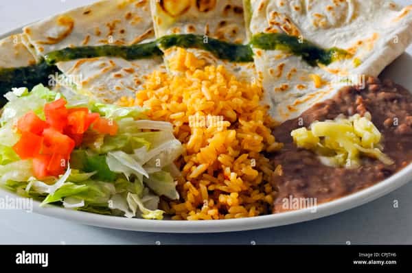 Adult Quesadilla