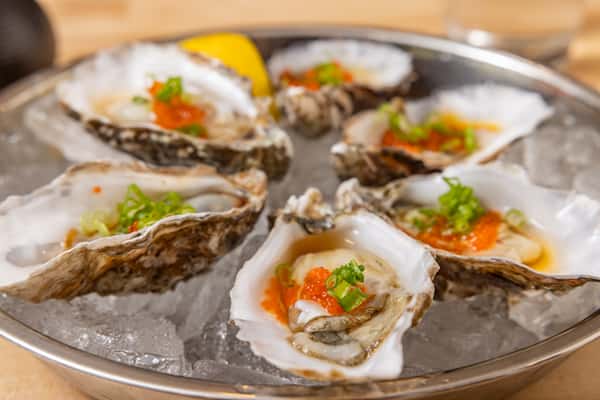 Oysters