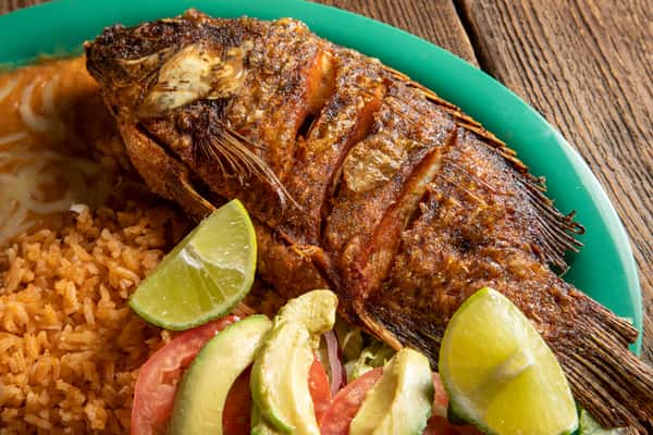 tilapia